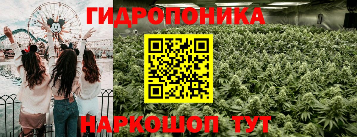 Канабис SATIVA & INDICA Нижний Новгород